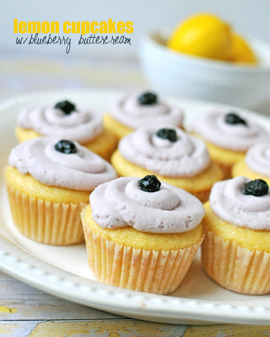 2015-02-09-lemoncupcakesgroupsmnosh.jpg