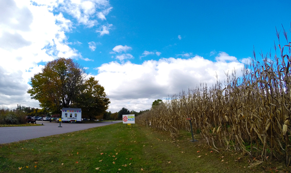 2015-02-12-TheCornMazeatAngelMounds.jpg