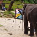 2015-02-20-Elephant_painting_thailand.JPG