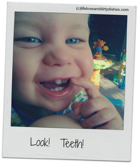2015-02-28-Teeth.jpg