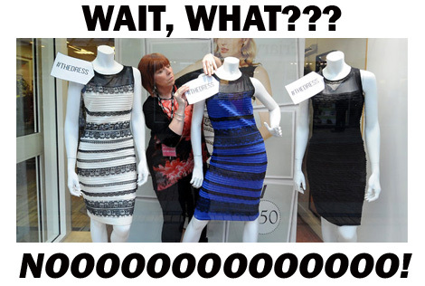 The dress in stores