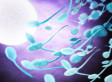 2015-02-28-sperm.jpg