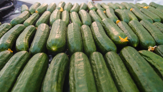 2015-03-04-1425428489-1813545-Sahara_Forest_Cucumbers.jpg