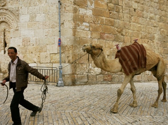 2015-03-04-1425488774-8539553-CamelDriverOldCityJerusalem.jpg