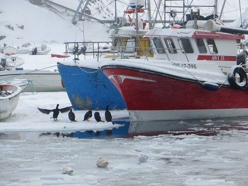 2015-03-09-1425937540-1758351-Greenland261.JPG