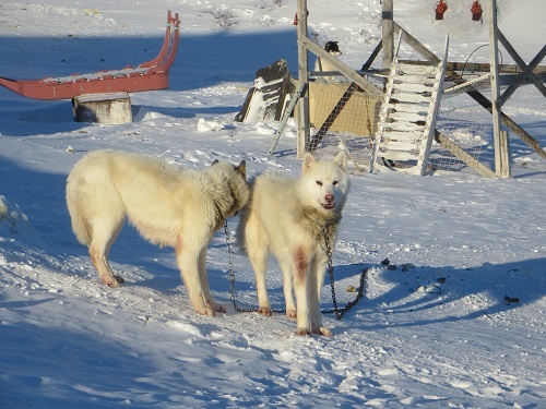 2015-03-11-1426108059-9011315-Greenland369.JPG