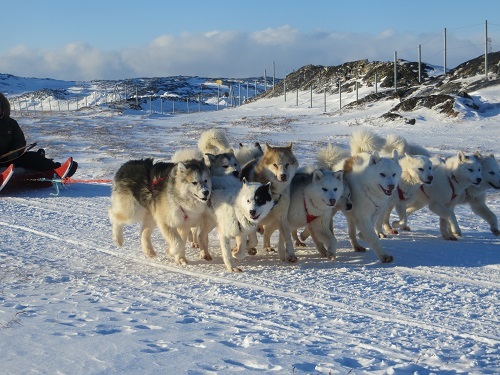 2015-03-11-1426110631-1684242-Greenland575.JPG