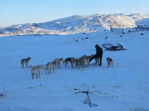 2015-03-11-1426111282-1009944-Greenland569.JPG