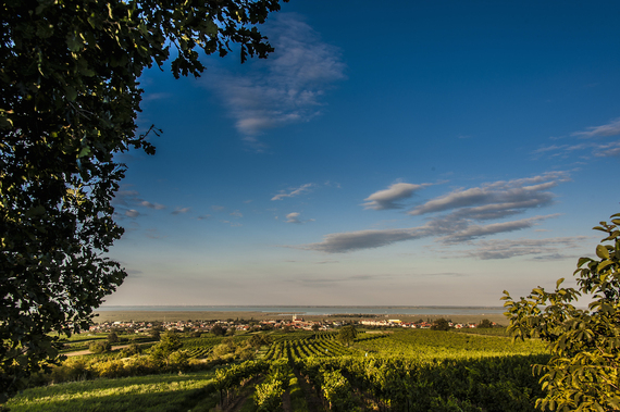 2015-03-13-1426254993-2957418-AUBGLDNeusiedlerSee002SommergluecksmomenteOesterreichWerbung_Bernhart.jpg