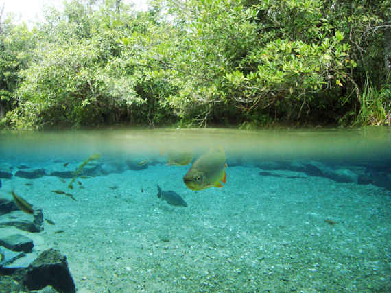 13 Places With the Clearest Water in the World