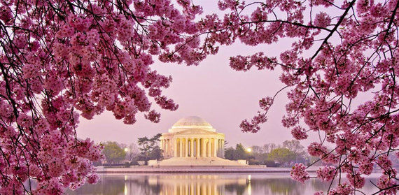 2015-03-24-1427223907-620046-CherryBlossomsDC.jpg