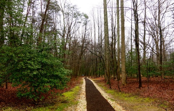 2015-04-06-1428351751-6070868-ChancellorsvilleBattlefield.jpg