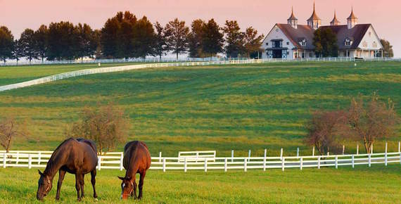 2015-04-19-1429453661-4475728-lexingtonkyhorsefarm.jpg