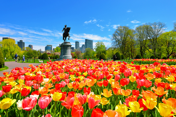 2015-04-20-1429559339-8367849-NewBostonPublicGarden.jpg