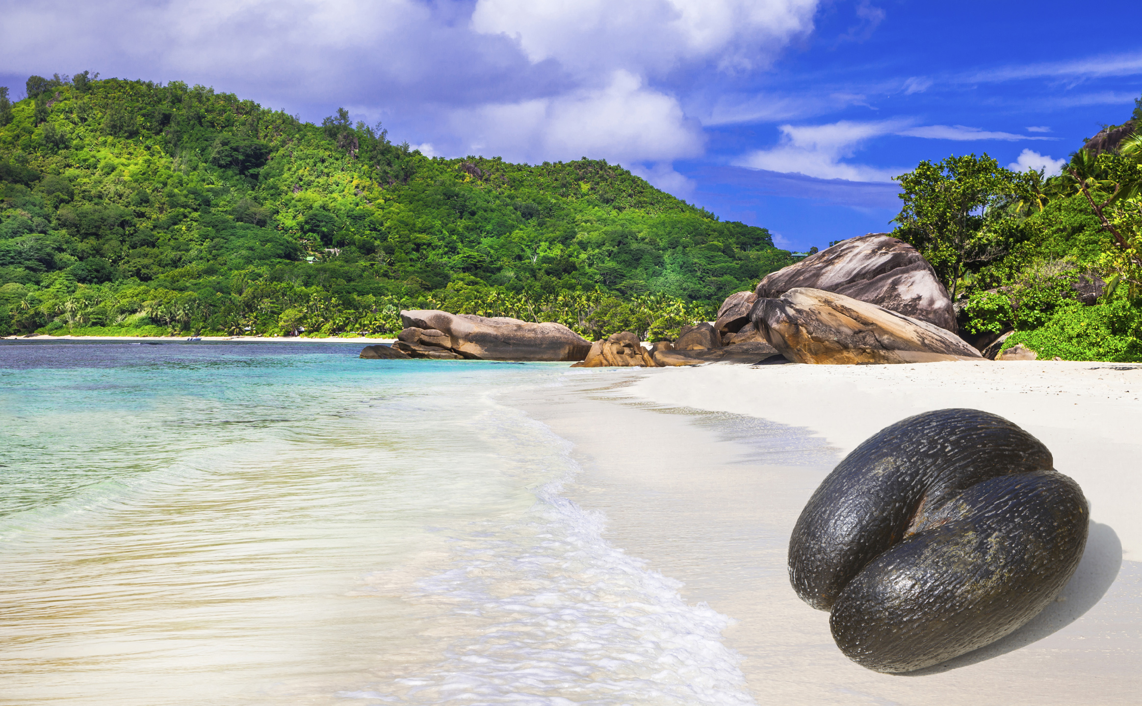 Seychelles - Pictures