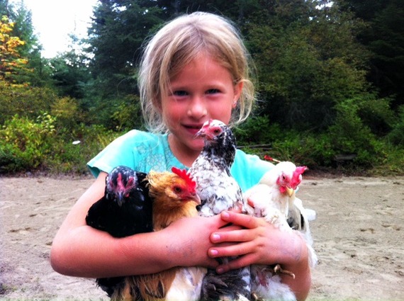 2015-05-06-1430928320-32976-chickens3.jpg