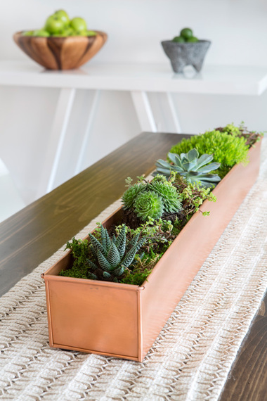  Dining table succulent arrangement in a copper planter by Decor Aid