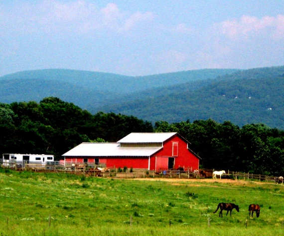 2015-05-26-1432647558-375028-Virginiahorsefarm.jpg