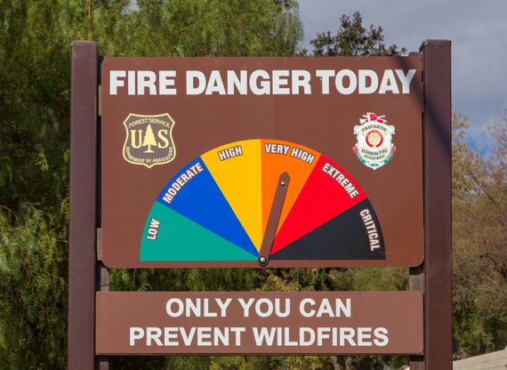 2015-06-01-1433191969-4311861-ONLYYOUCANPREVENTFORESTFIRES.jpg