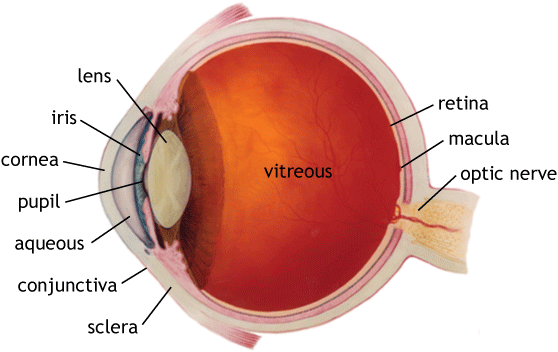 2015-06-05-1433524827-4143998-eye_diagram.gif