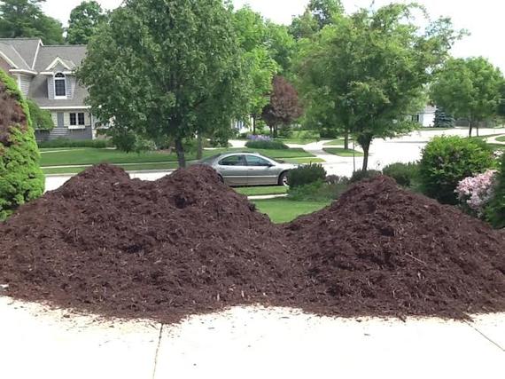 2015-06-15-1434396211-6984549-mulchmulch.jpg