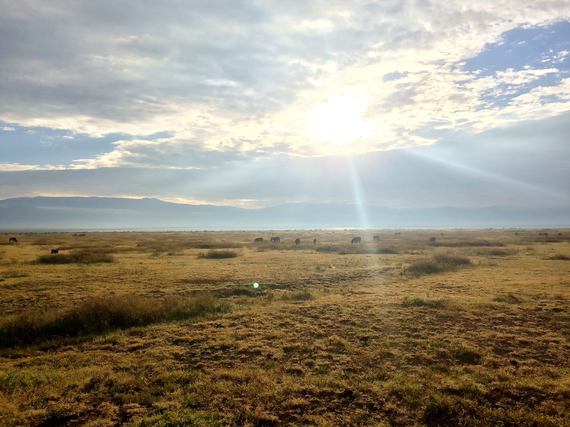 2015-06-16-1434423762-909292-Serengeti2.jpg