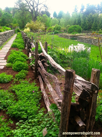 2015-06-18-1434628757-6077607-CornellPlantationsGardens.jpg