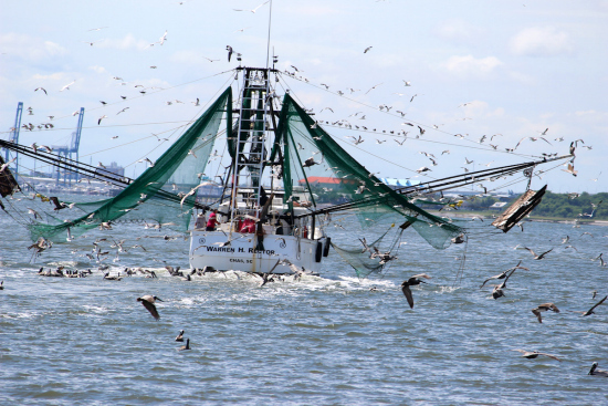 2015-06-19-1434718427-5425383-CharlestonHarborBoat.jpg