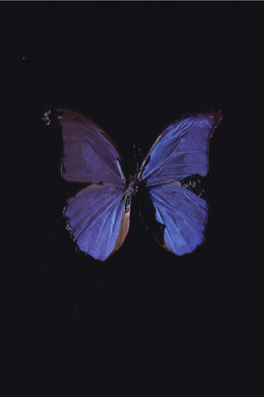 2015-06-21-1434897992-999944-DamienHirstTheSoulonJacobsLadder.jpg