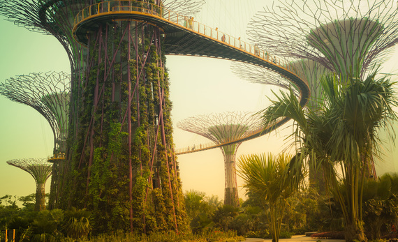 Nine Green Spaces You Need To Explore In Singapore Huffpost