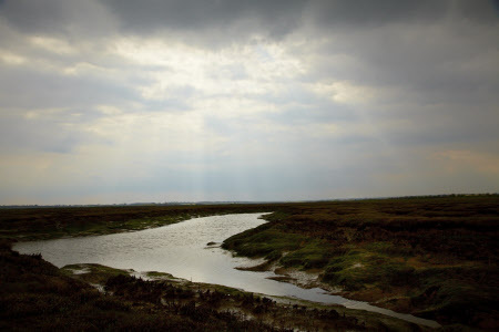 2015-06-23-1435075618-2858942-SaltmarshatCoptHallEssex.jpg