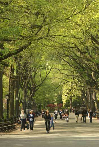 2015-06-24-1435153541-333932-centralpark.jpg