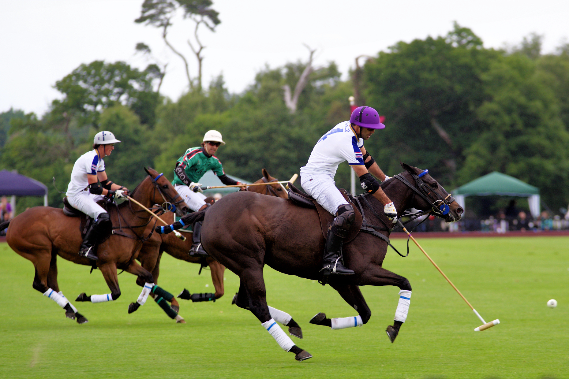 Polo, Is It for Everyone? Apparently So. | HuffPost UK Sport