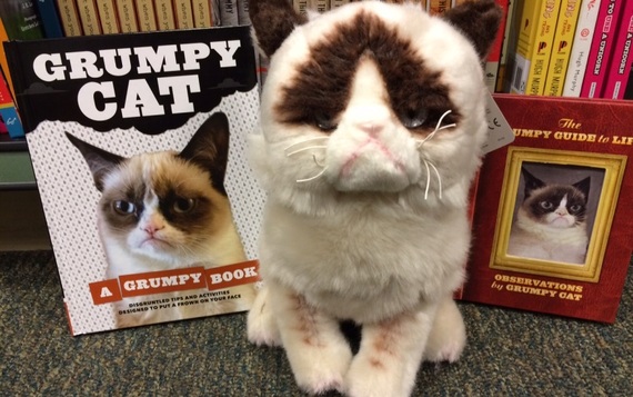 2015-07-08-1436378233-4776483-grumpycat1.jpg