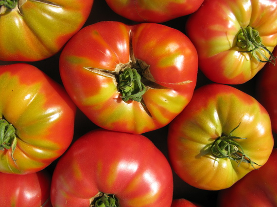 2015-07-09-1436475267-3310596-End_of_Summer_Tomatoes.jpg