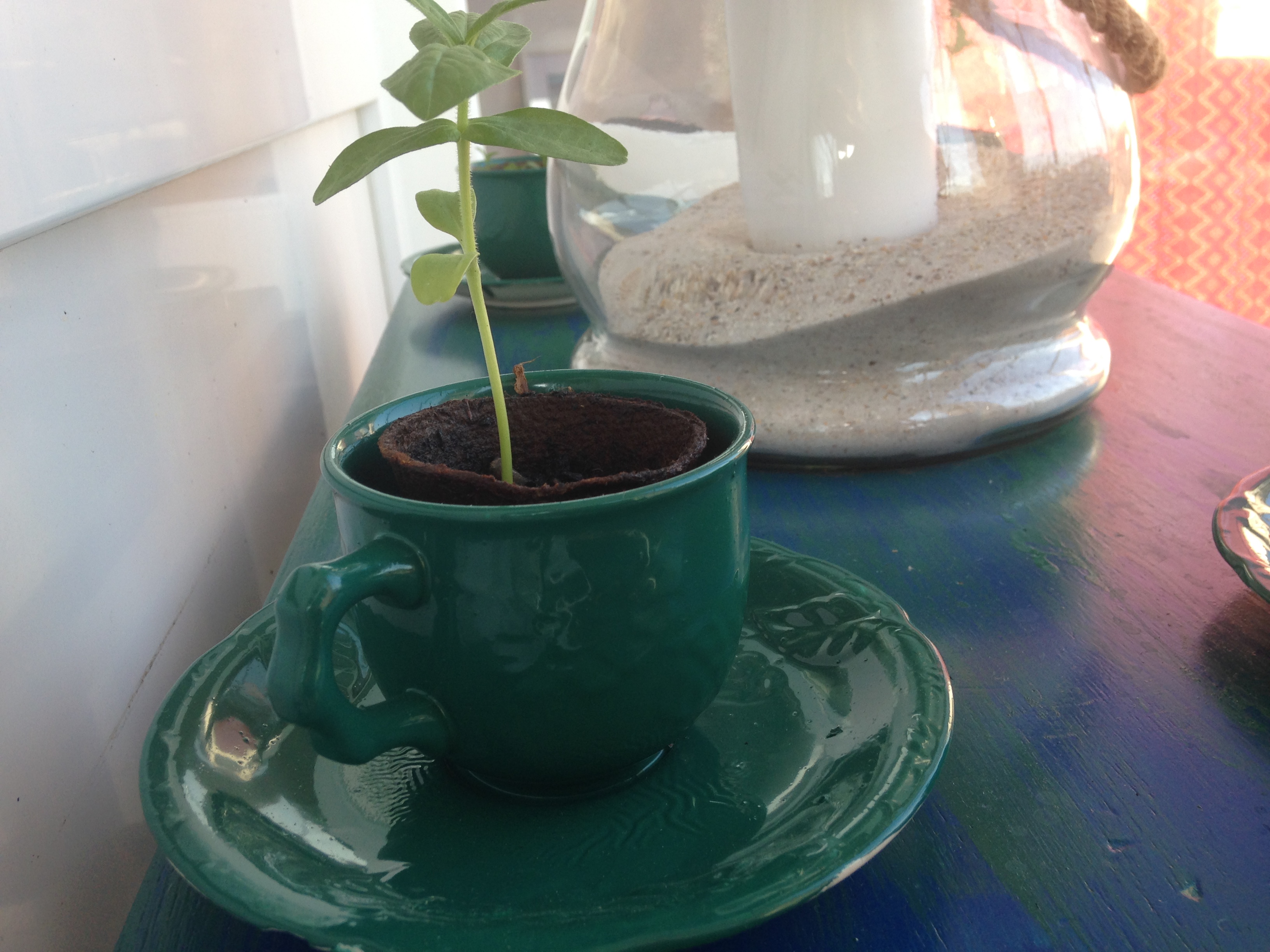 5 kreative Ideen für eine stilvolle Dekoration