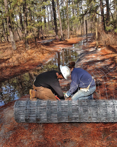 2015-07-16-1437070995-4593993-AmericanConservationExperienceWadersintheWaterCorpsmembersworkonaprojectwithGreenvest.jpg