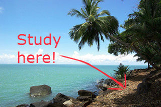 Studying Study Island ed tech
