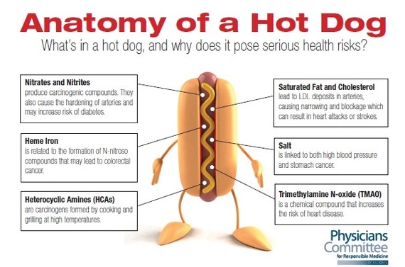 2015-07-22-1437569639-352889-anatomyofahotdog.jpg