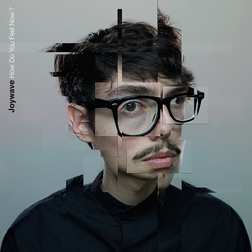 2015-07-27-1438025179-3534215-joywave_hdyfn_cover_final_700x700px.jpg