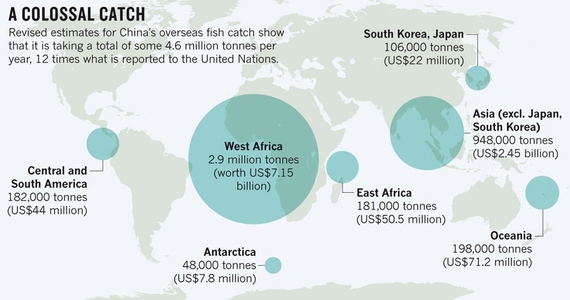 2015-08-02-1438535534-9817981-Chinafishcatch.jpg