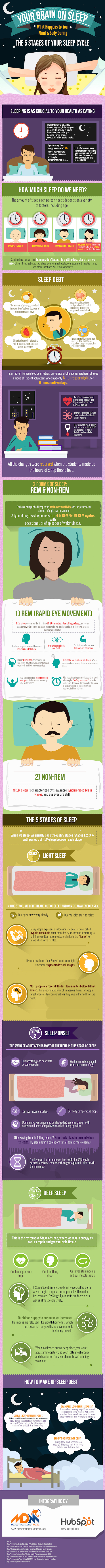 2015-08-05-1438790491-3486771-YourBrainonSleepThe5StagesofYourSleepCycle.jpg