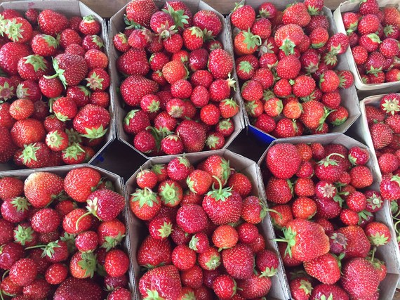 2015-08-12-1439388242-9346866-strawberries.jpg