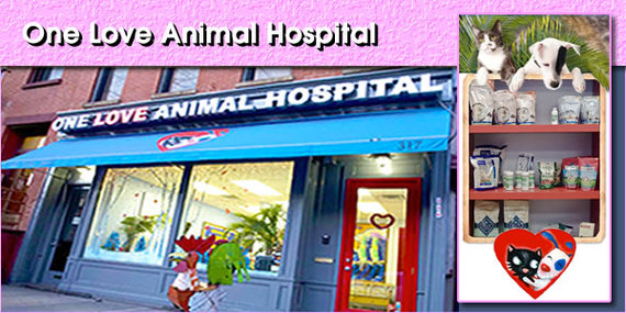 2015-08-15-1439648443-4724913-OneLoveAnimalHospitalpanel1.jpg