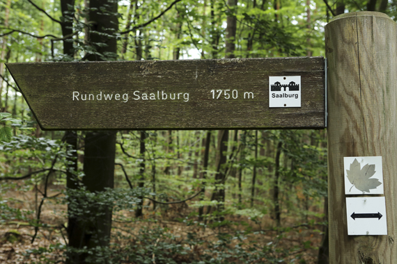 2015-08-24-1440448682-3614066-SF_Saalburg_023.jpg