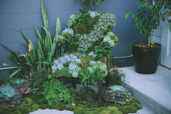 2015-08-27-1440694058-7134063-PHOTO5SucculentChair.jpg