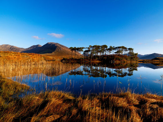 2015-09-04-1441395064-3518072-No.5Connemara.jpg