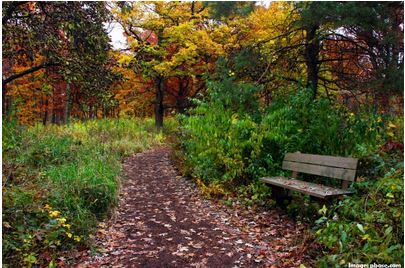 2015-09-11-1441995338-8343775-mortonarboretum.JPG