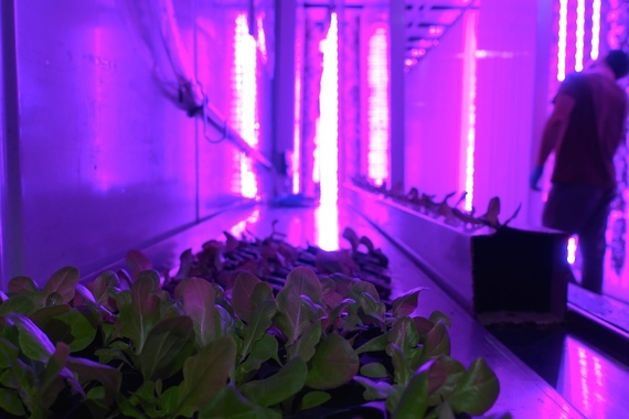 2015-09-17-1442450153-5941684-freightfarms2.jpg