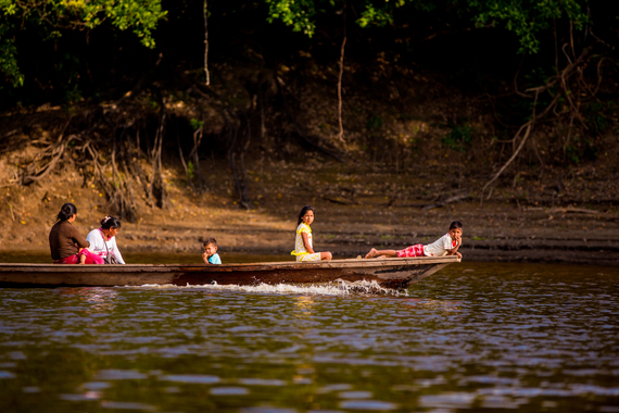 Life on the Water or Life in the Trees? The Best Two Ways to Explore ...